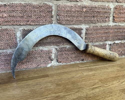 Vintage harrison beet - 9”,