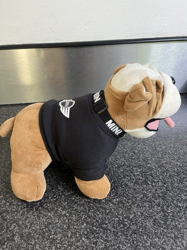 Mini teddy pug - mini,