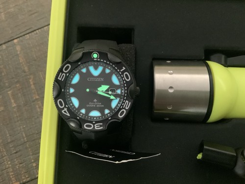 Citizen eco drive promaster - citizen,