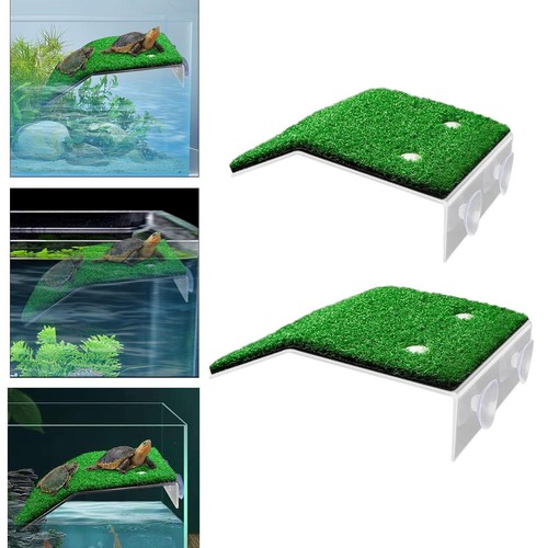 Turtle basking simulation - basking,
