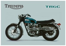 TRIUMPH Poster TR6 Tiger TR6C