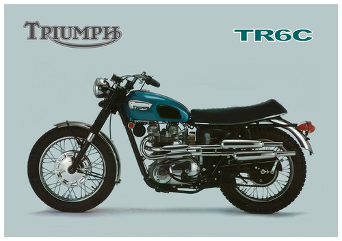 Triumph poster tr6 tiger - tiger, tr6c
