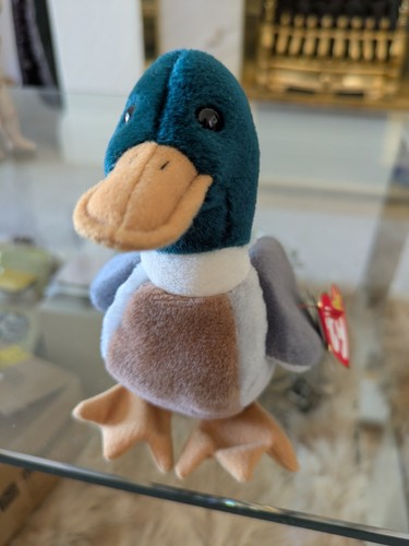 Beanie jake the - ty, with