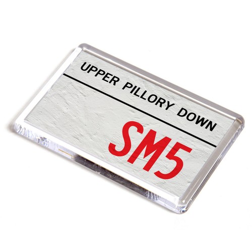 Fridge magnet upper pillory - fridge,