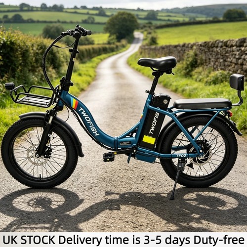 20in fat tyre ebike - fat,