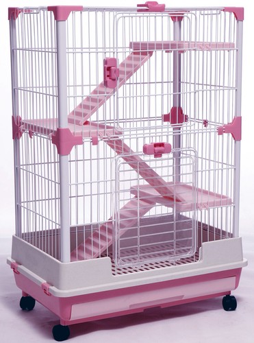 Floors indoor guinea pig - indoor,