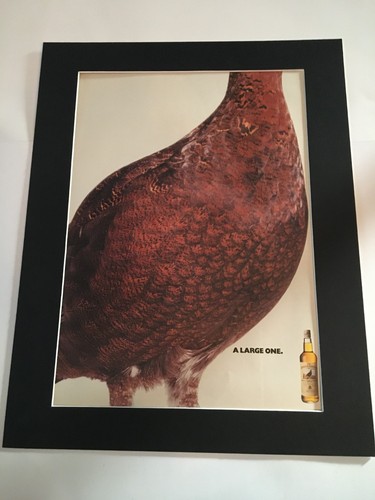 Famous grouse scotch - famous,