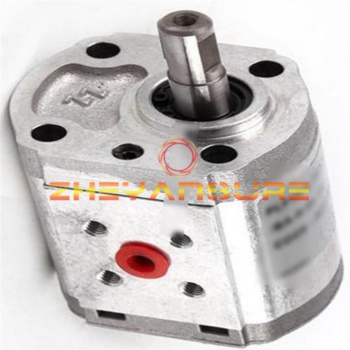 One casappa gear pump - casappa,