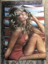 Original 1976 Farrah Fawcett