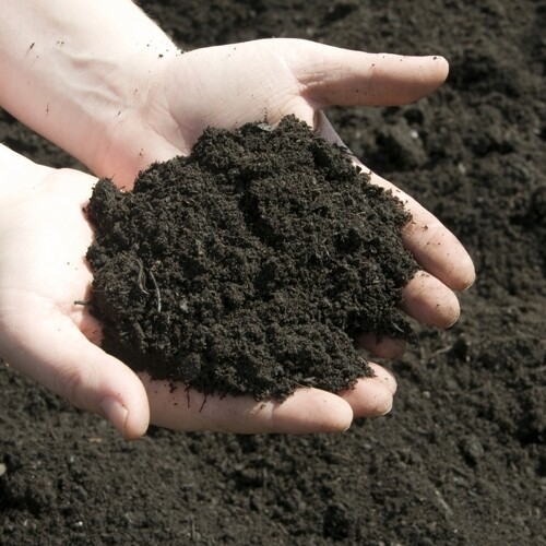 Premium enriched topsoil - enriched,