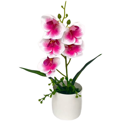 White purple pink stripe - pink,