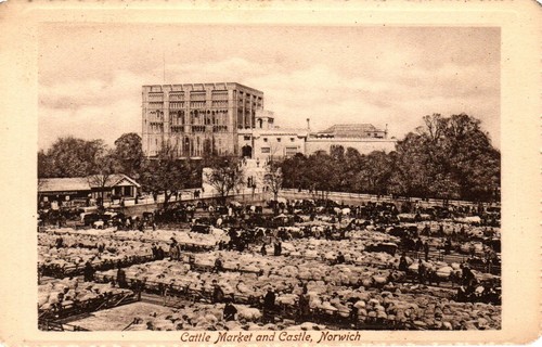 Cattle market and - and, castle