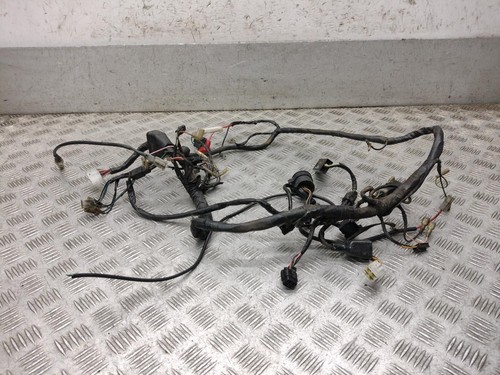 2007 cpi 50 wiring - 50,