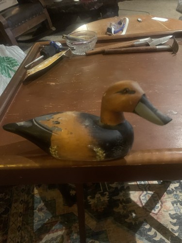 Hand painted cinnamon teal - painted, cinnamon,