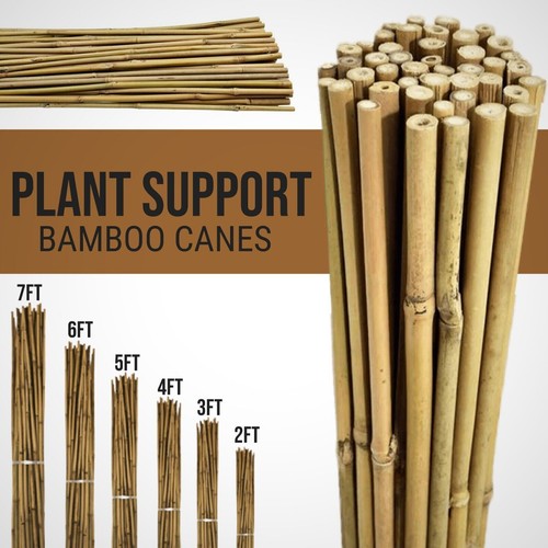 2ft 3ft 4ft 5ft - 5ft, bamboo