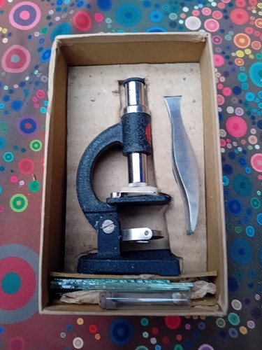 Vintage small students - small,