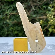 Very Rare Mesolithic to Early