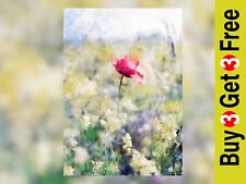 Poppy in a field, watercolour