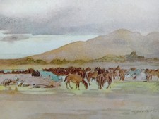 Horses on the Plains Japan