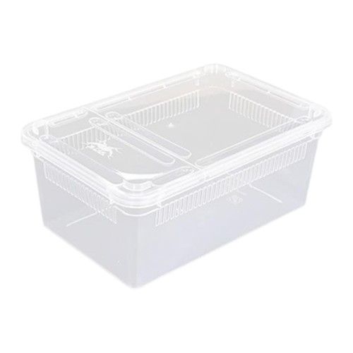 Reptile feeding box clear - reptile, box,