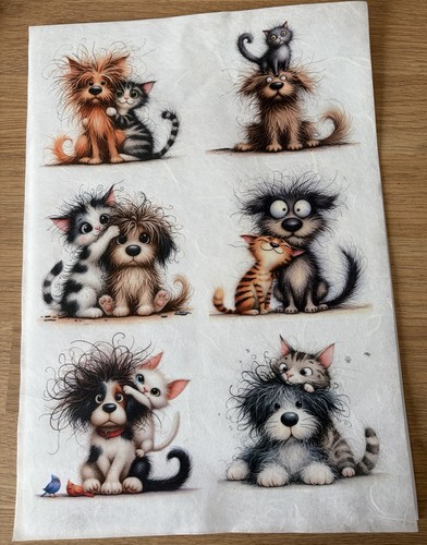Rice paper decoupage cat dog - rice,