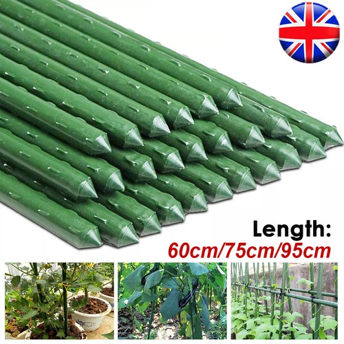 100 pack hydroponics garden - 20-100,