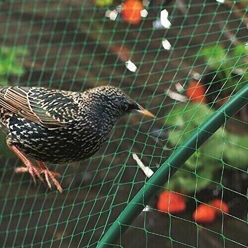 Garden netting plant - garden, tree