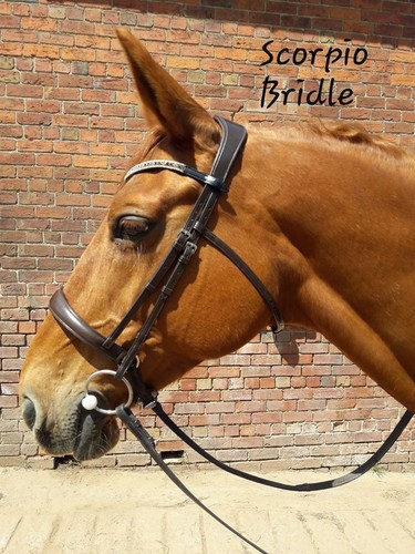 Horsemanship scorpio bridle - horsemanship,
