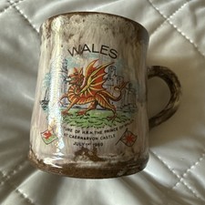 VINTAGE 1969 prince of wales investiture Ewenny brown
