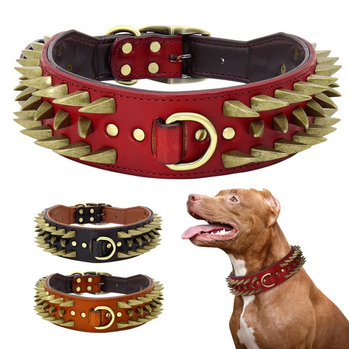 Spiked studded pet - pet, collar