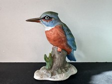 Vintage Kingfisher Bird