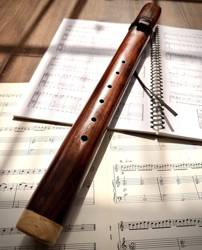 Native american style flute - american,