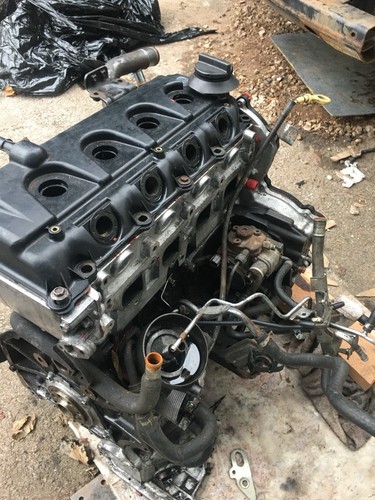 Nissan navara d40 engine - nissan,