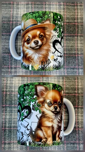 Chihuahua yorkshire terrier - chihuahua,,