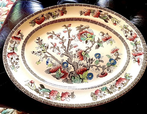 Johnson bros indian tree - bros,