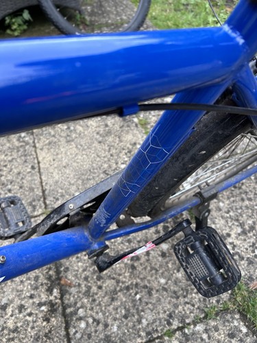 Assist adult bike - adult,