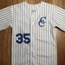 Chicago Cubs Team Work