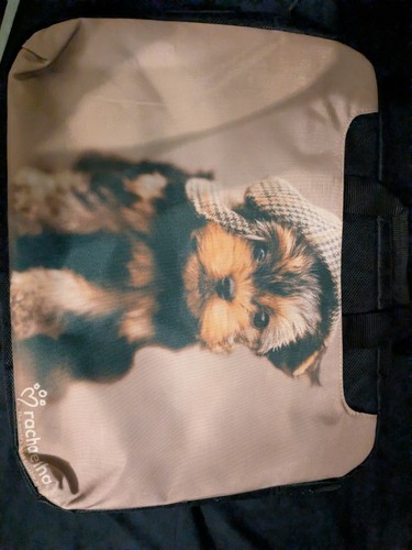 Yorkie puppy laptop - , 17