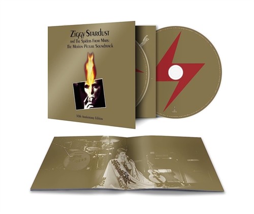 Ziggy stardust and the - stardust,