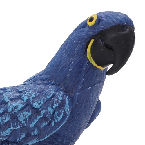 Blue macaw model - macaw, real