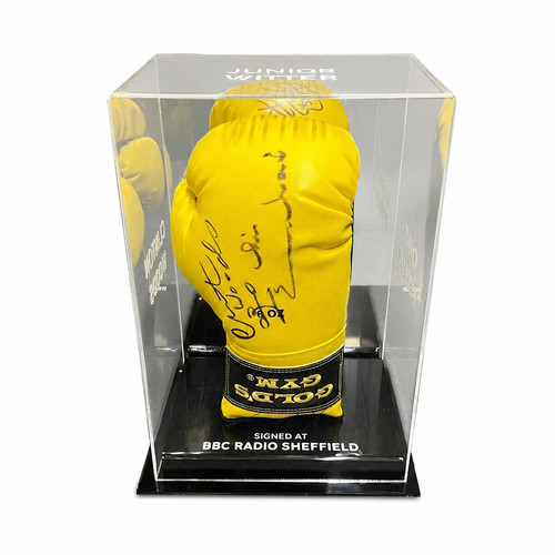 Acrylic display for sparring - acrylic,