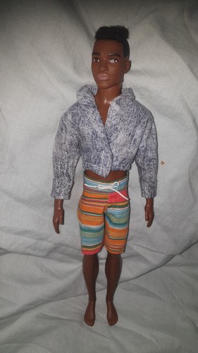 Barbie ken doll - barbie, (steve)