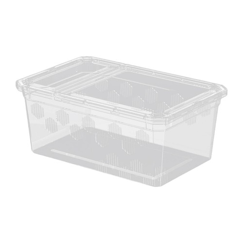Reptile feeding box pet - reptile,