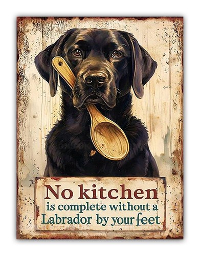 Labrador metal cooking kitchen - labrador,
