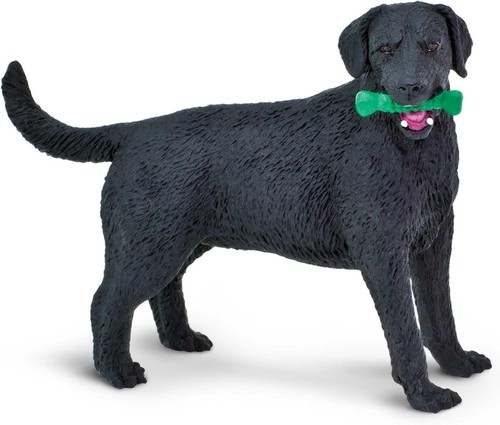 Black labrador retriever - labrador,