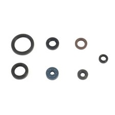 Engine gasket set oil seals