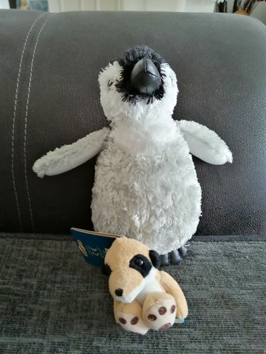 Chester zoo penguin soft plush - penguin,