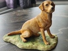 Border Fine Arts Yellow