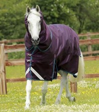 Premier Equine Titan 200g