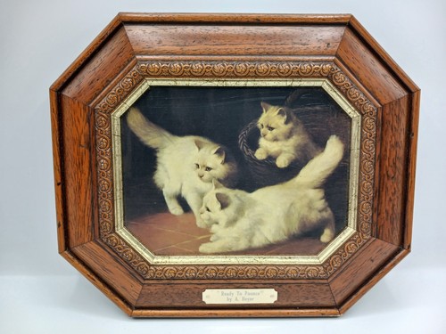 Vintage ready pounce - 'ready, to